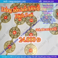Đồng tiền hoa lưới trung, bịch 5 cái, dây xuân treo tết, xuân 2014, trang trí tết giá rẻ nhất